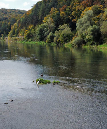 Wild life locations and fishing spots in Poland