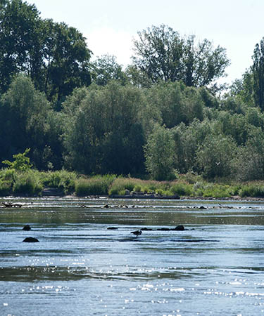 Bird-watching locations and fishing spots in Poland