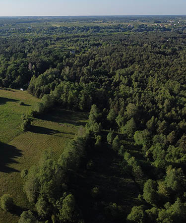 Lokalizacje – Wisła, Narew, Bug, Puszcza Kampinoska