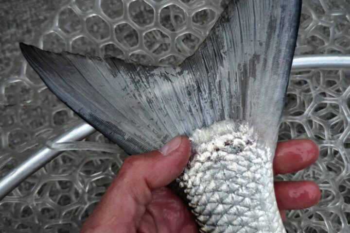 Soc2